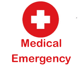 Medical Emergency Procedures Icon